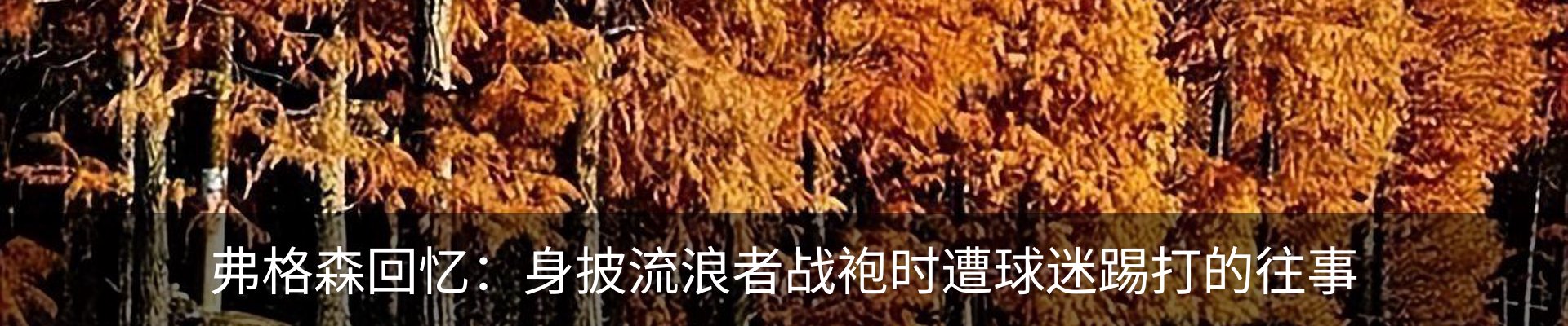 内页banner